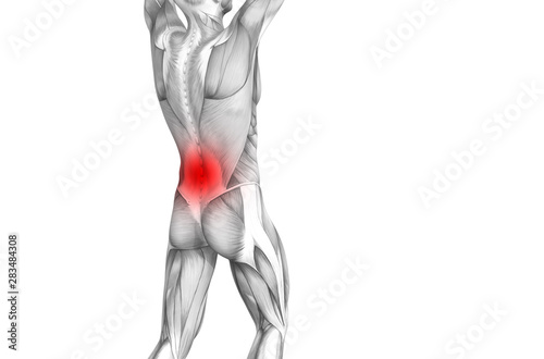 Conceptual back human anatomy with red hot spot inflammation articular joint pain or spine health care therapy or sport muscle concepts. 3D illustration man arthritis or bone sore osteoporosis disease