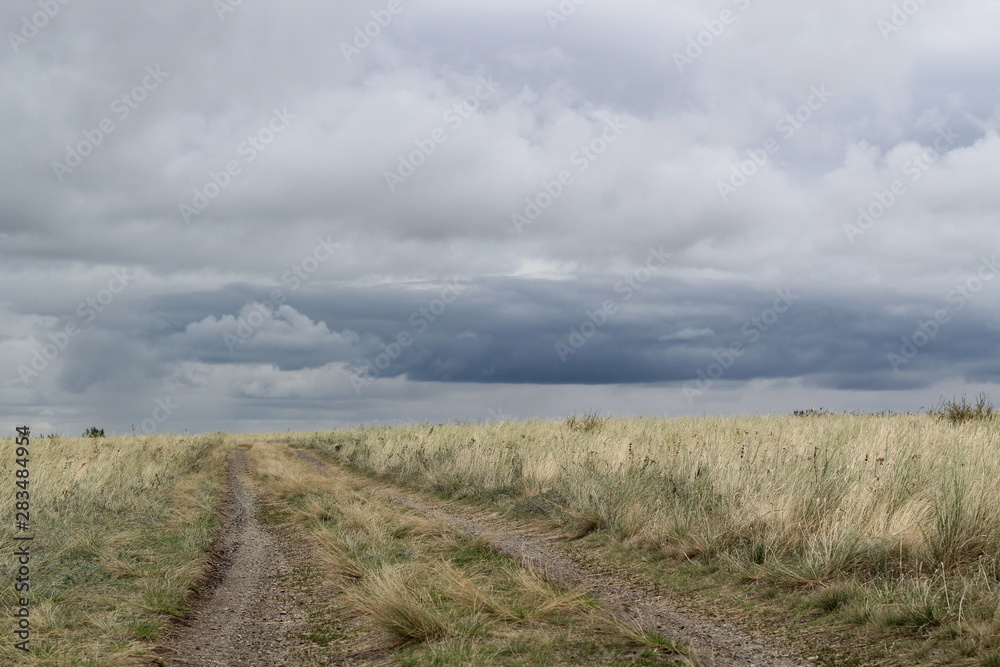 steppe road going into the stormy sky