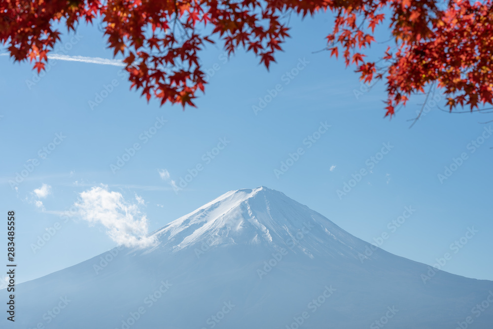 Landscape of view the Mount Fuji and Bright red maple leaf frame Kawaguchiko In the morning is a tourist attraction of Japan. In a small town Landscape of view the Mount Fuji and Bright red maple leaf frame Kawaguchiko In the morning is a tourist attraction of Japan. In a small town