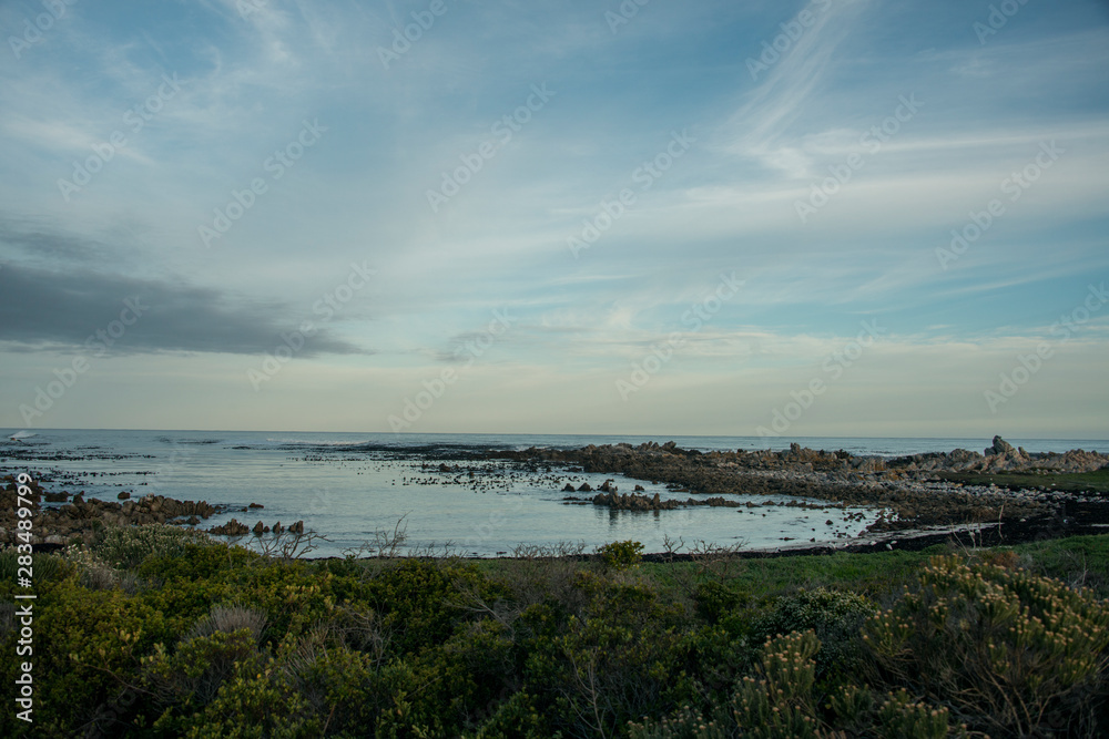 panoramic view of fynbos coastline and blue sky