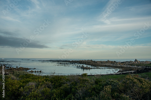 panoramic view of fynbos coastline and blue sky