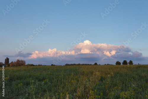 Fototapeta Naklejka Na Ścianę i Meble -  Fluffy clouds above the meadow at sunset