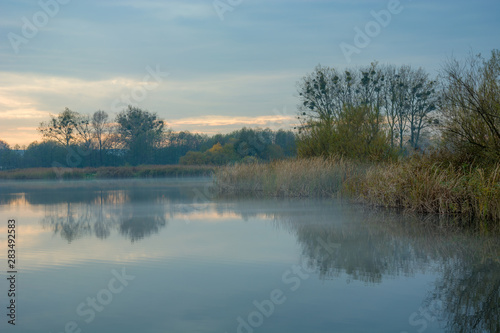 Fog over the lake, trees and reeds