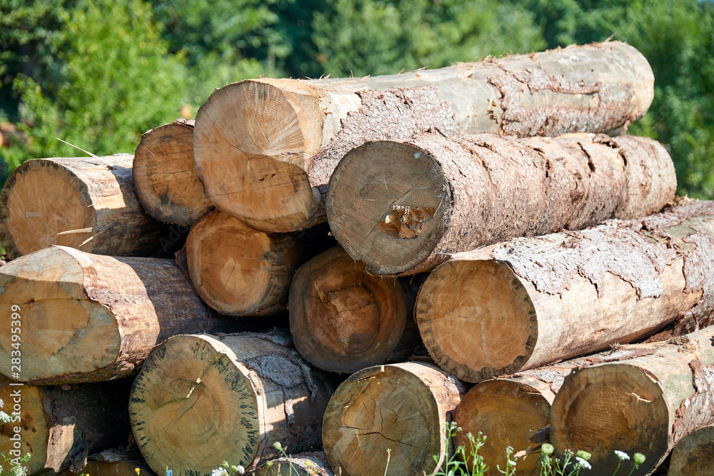 Stacked logs and woodpiles, lumber and wood industry Stacked logs and woodpiles, lumber and wood industry