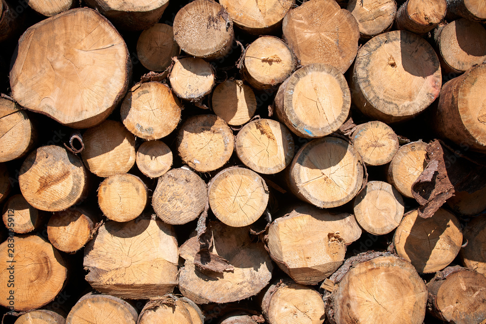 Stacked logs and woodpiles, lumber and wood industry Stacked logs and woodpiles, lumber and wood industry
