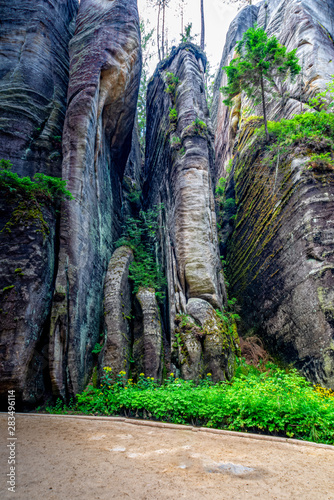 Adersbacher rock city in Krenov in the Czech Republic photo