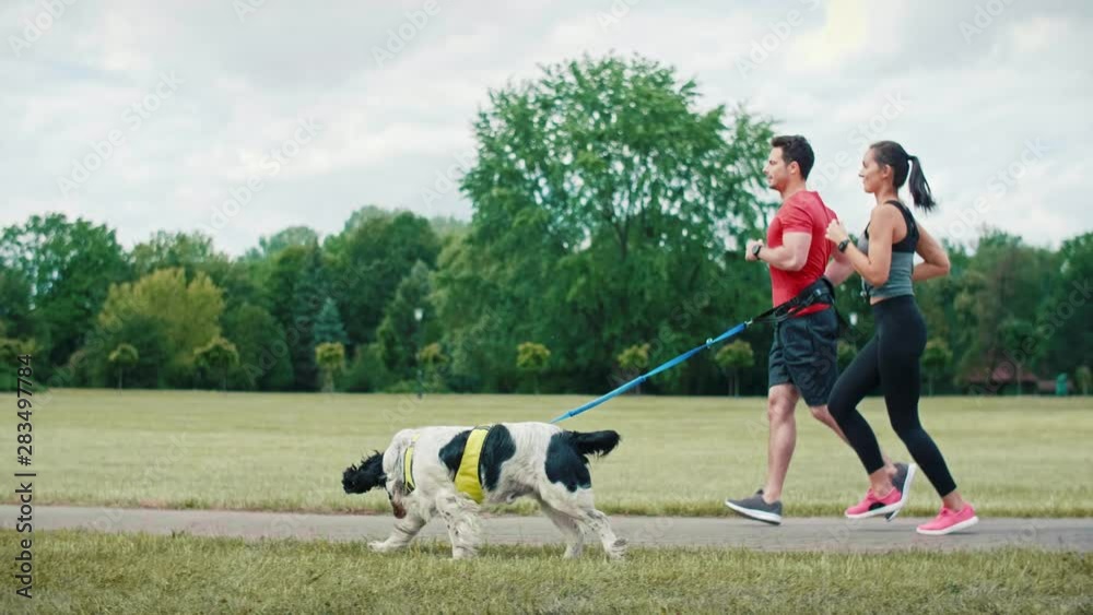 Morning running with dog and partner