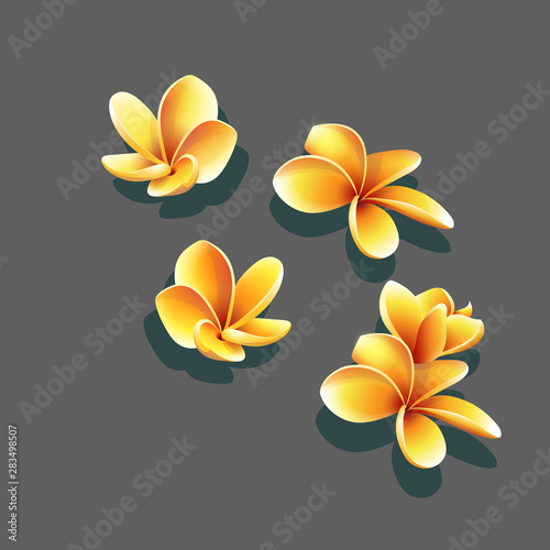 Set of bright vector the yellow flowers