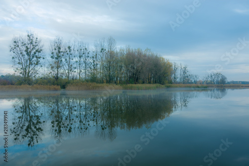 Misty lake and autumn trees