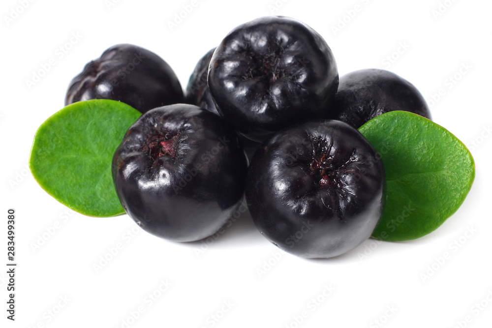 Chokeberry with green leaves isolated on white background. Black aronia Chokeberry with green leaves isolated on white background. Black aronia