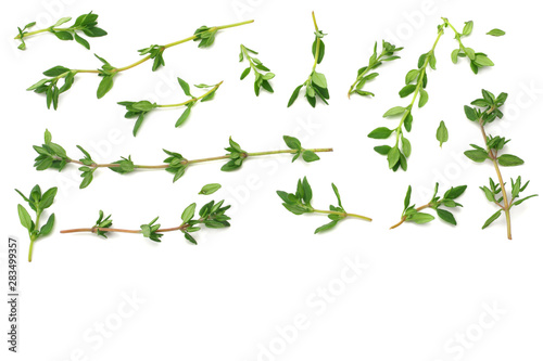 Fotografia green thyme bunch isolated on white background. top view