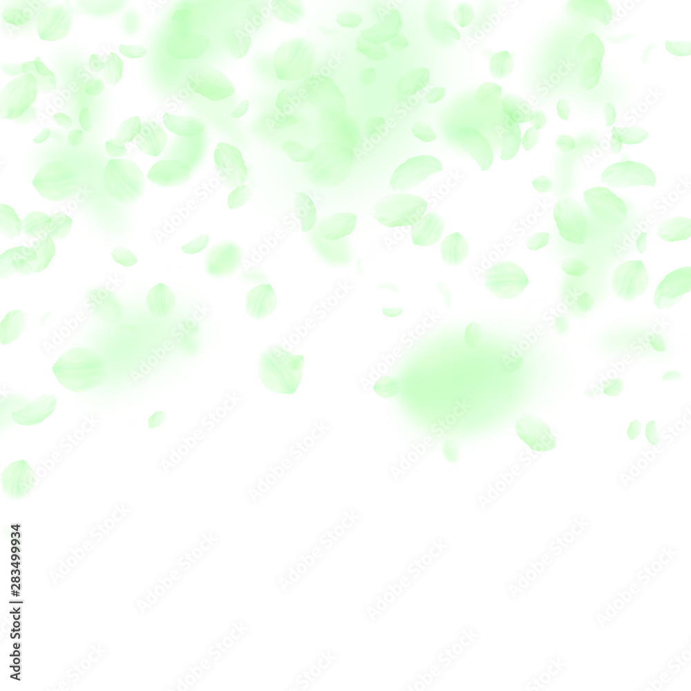 Green flower petals falling down. Divine romantic Green flower petals falling down. Divine romantic