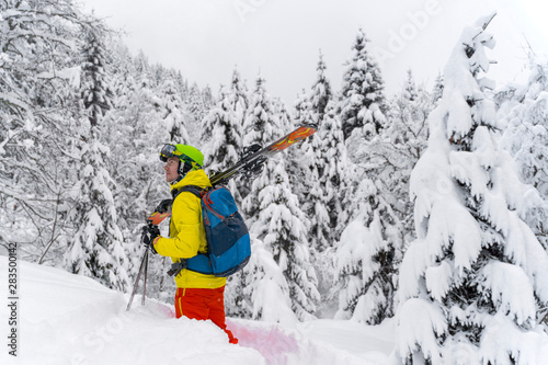 Man in yellow with blue backpack skiing stay with many firs around and soft powdery snow. The backcountry skier is on Alps Mountain in Austria.