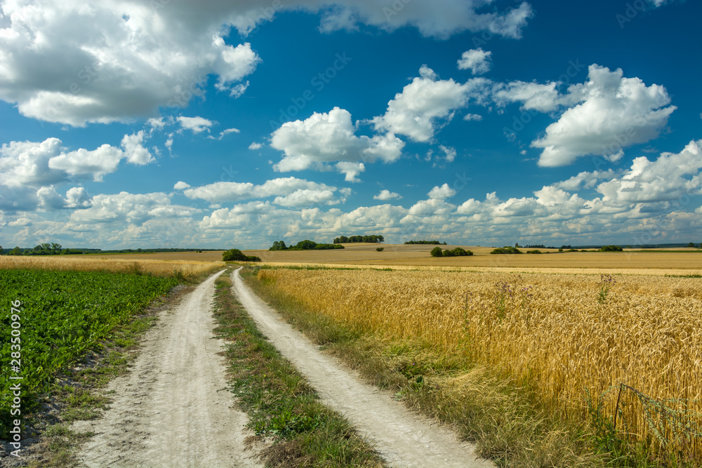 Road through fields and white clouds in the sky