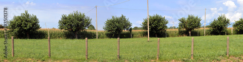 campo con recinto ed alberi da frutto nella campagna rurale, field with fence and fruit trees in the rural countryside photo