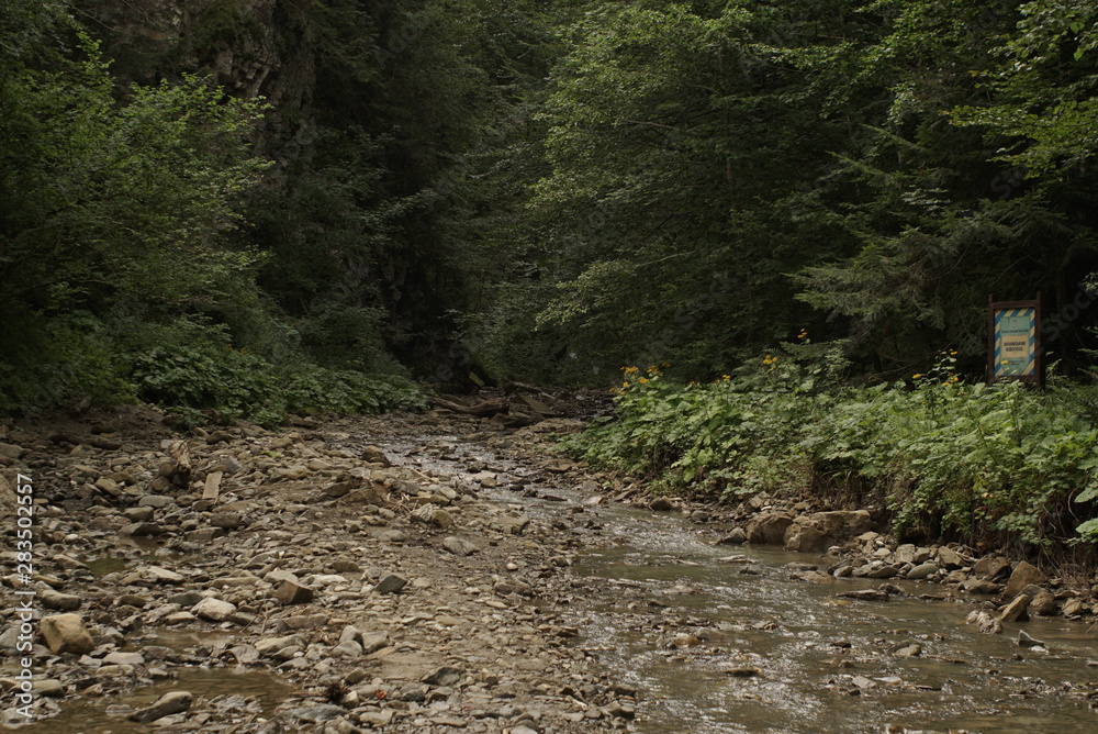 river with water plants in mountains river with water plants in mountains