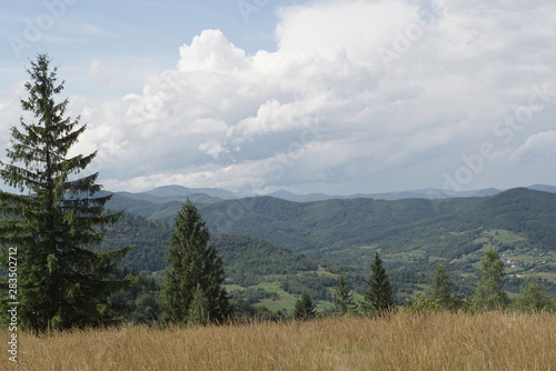  landscape in mountains Carpathians Ukraine