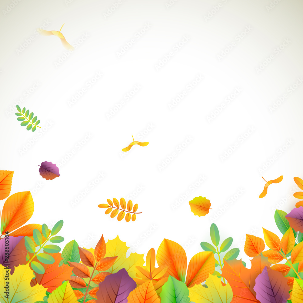 Vector background for autumn season with collection of leaves falling and with empty space for text.