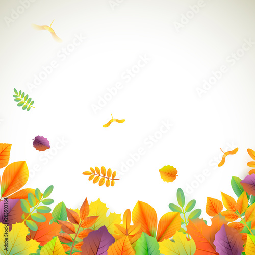 Vector background for autumn season with collection of leaves falling and with empty space for text.