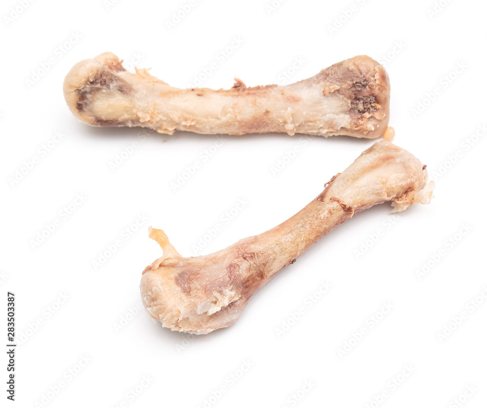 chicken bones on a white background, isolate. chicken bones on a white background, isolate.