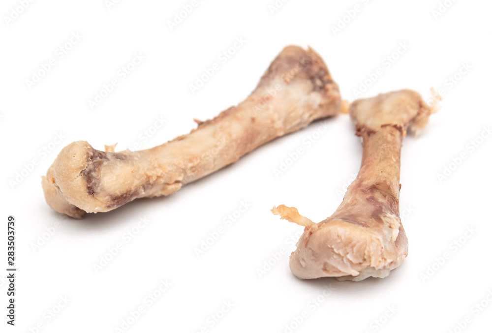 chicken bones on a white background, isolate. chicken bones on a white background, isolate.