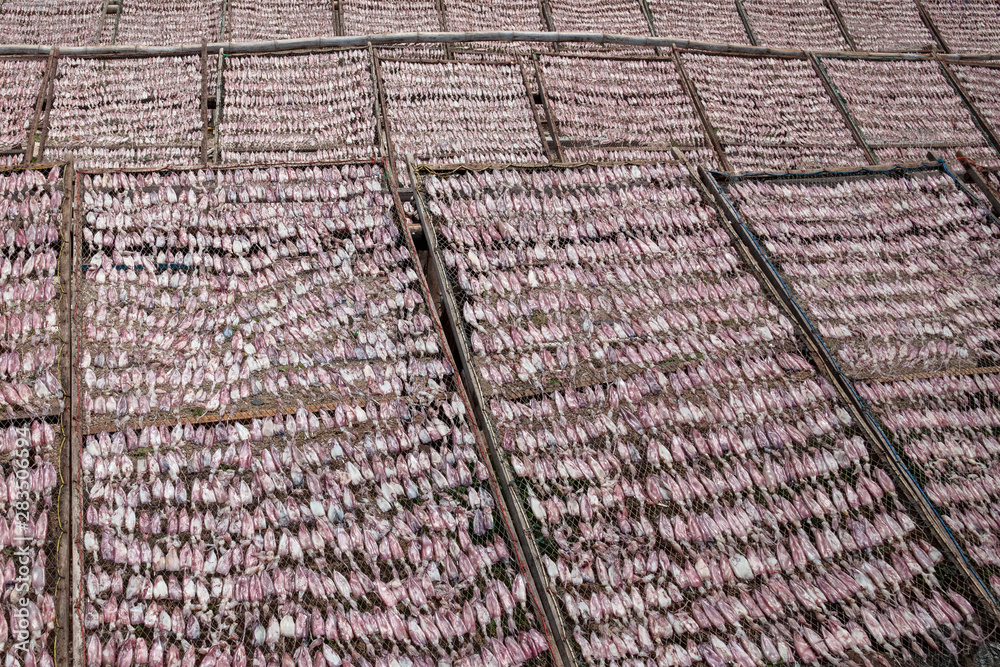 Fototapeta premium Dried squid on a wire rack.