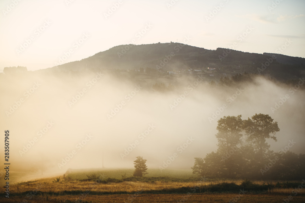 Naklejka premium fog in the mountains