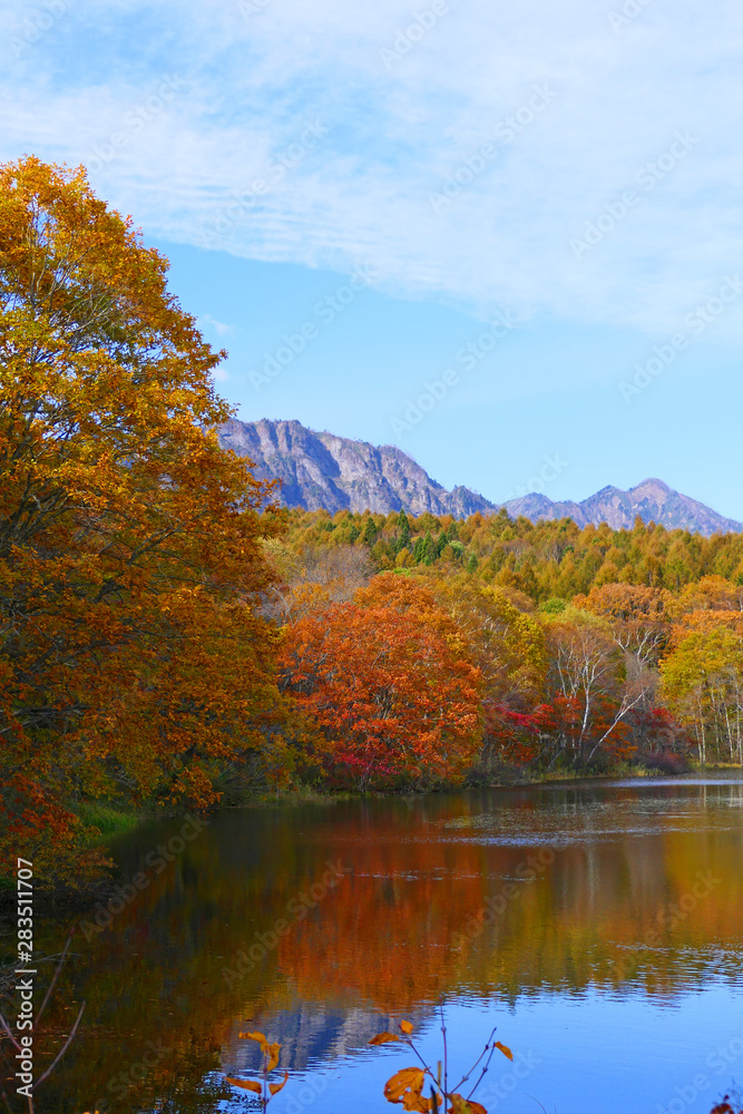 上信越国立公園。紅葉の小鳥ヶ池と戸隠連峰。長野　日本。１０月下旬。