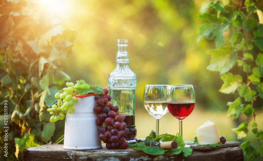 Still life with red and white wine in a green garden at sunset