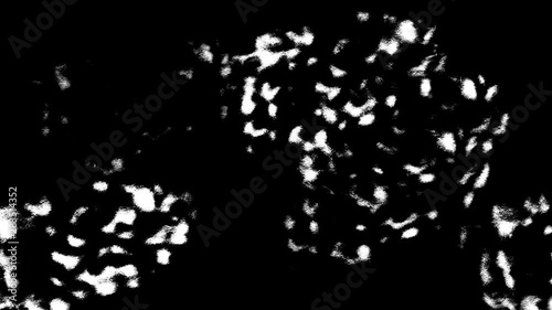 Grunge Video Texture