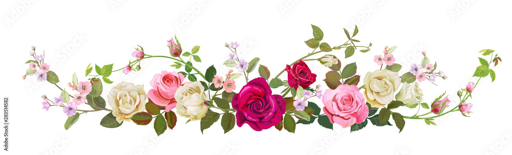 Panoramic view: bouquet of roses, spring blossom. Horizontal border: red, pink, white flowers, buds, green leaves, white background. Digital draw illustration in watercolor style, vintage, vector