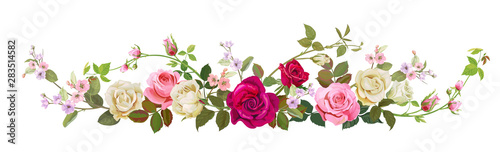 Panoramic view: bouquet of roses, spring blossom. Horizontal border: red, pink, white flowers, buds, green leaves, white background. Digital draw illustration in watercolor style, vintage, vector