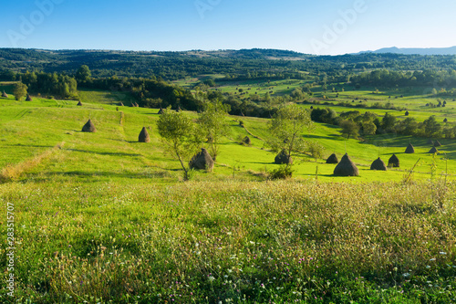 Picturesque lawns of Karpaty