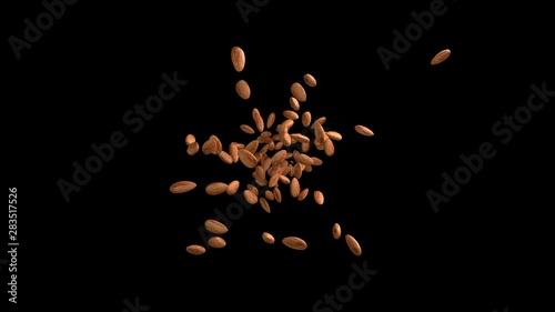 3D animation of a almond flow with alpha layer