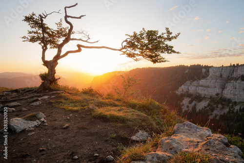 Creux du Van, Gran Canyon der Schweiz