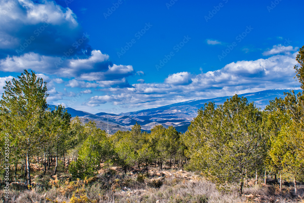 Panoramica desde el Campillo de Darrical