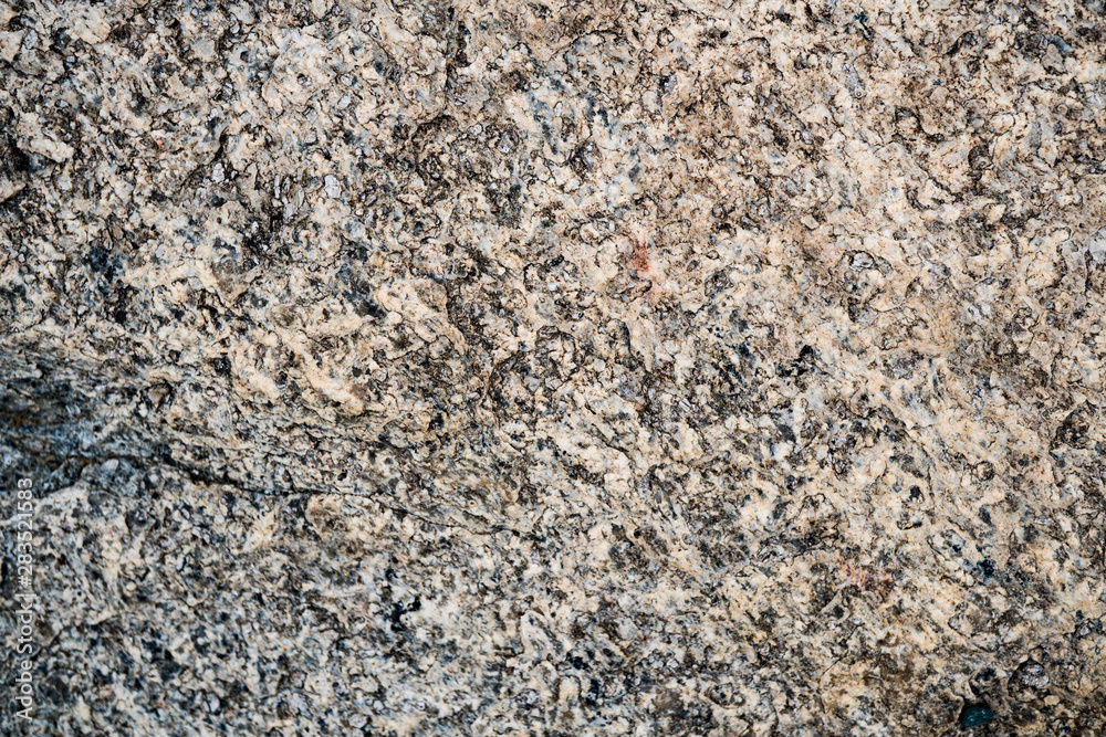 The texture of the stone overgrown with moss. Background image of a boulder The texture of the stone overgrown with moss. Background image of a boulder