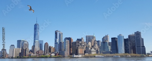 Manhattan Skyline with bird 