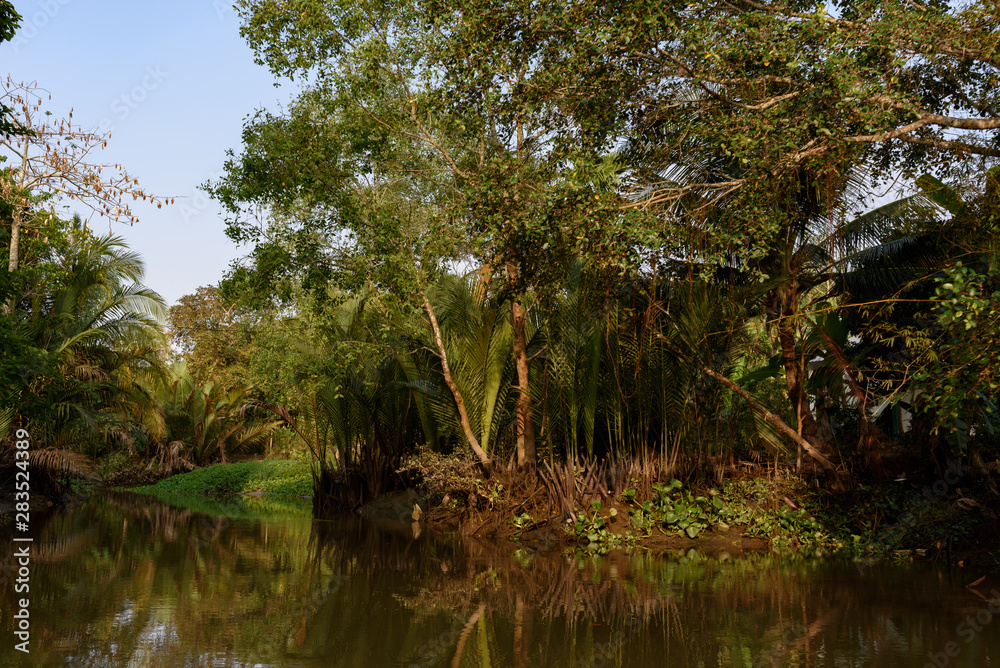 Delta du Mékong, région de Can Tho, Cai Rang Floating Market