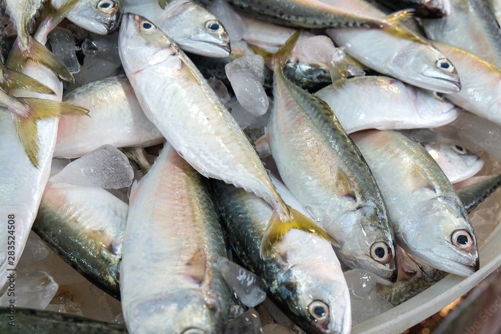 Fresh sea fish sell in local fishery market in Samutprakan