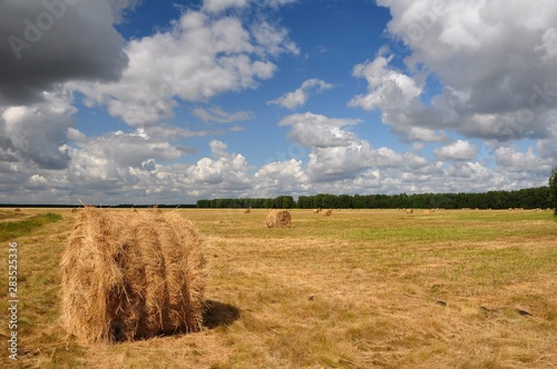 bales of hay in field