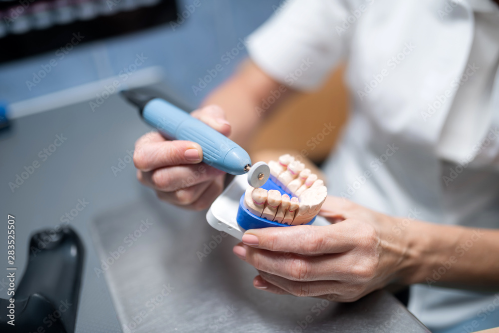 Dental prosthesis in hands of dental technician.