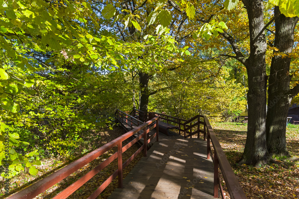 Fototapeta premium Golden autumn in the forest park.