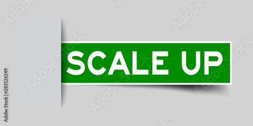 Label square green sticker in word scale up that insert under gray background (vector)