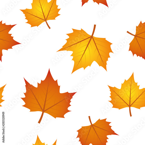 seamless pattern autumn leaves on white background vector illustration EPS10