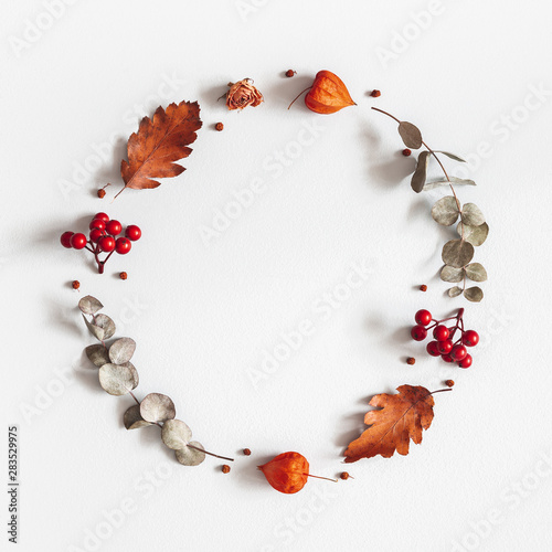 Autumn composition. Wreath made of dried flowers, eucalyptus leaves, berries on gray background. Autumn, fall, thanksgiving day concept. Flat lay, top view, copy space, square photo