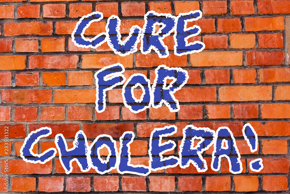 Obraz premium Word writing text Cure For Cholera. Business concept for restoration of lost fluids and salts through rehydration Brick Wall art like Graffiti motivational call written on the wall