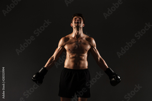 Concentrated strong handsome young sportsman boxer in gloves posing isolated over black wall background. © Drobot Dean