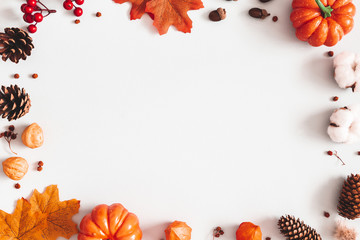 Autumn composition. Dried leaves, pumpkins, flowers, rowan berries on white background. Autumn, fall, halloween, thanksgiving day concept. Flat lay, top view, copy space