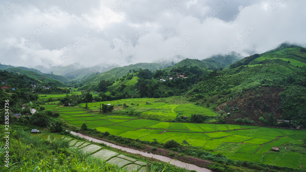 Beautiful rice terraces With rivers flowing from the mountains